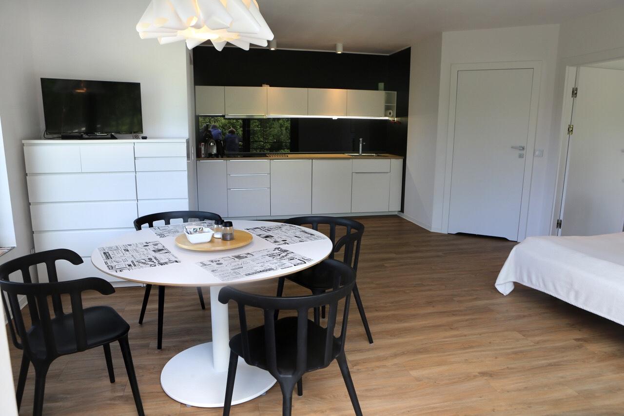 דוז'ניקי ז'דרוז' Apartamenty Innwersja מראה חיצוני תמונה